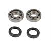 Cuscinetti + Paraoli di banco 50 cc minimoto-miniquad in Ricambi motore 2T a strappo