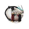 Statore miniquad a 2 indotti in Ricambi motore 4T