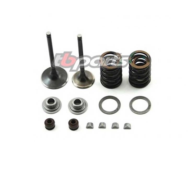 Kit valvole EV8 TB parts 2V