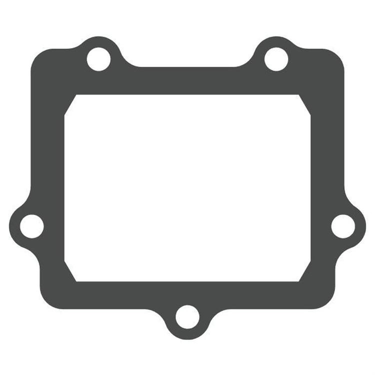 Pacco lamellare Suzuki RM 250 (2003-2012) - V-Force 3 (solo guarnizione)