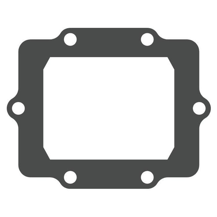 Pacco lamellare Kawasaki KX 250 (1987-2004) - V-Force 3 (solo guarnizione)