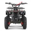 Miniquad 50 cc Hiro Tiger Rosso [3-8 anni] in Minimoto e Miniquad