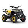 Miniquad elettrico 800 Watt Hiro Tiger 6