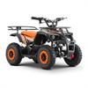 Miniquad elettrico 800 Watt Hiro Tiger 6