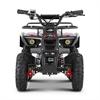 Miniquad elettrico 800 Watt Hiro Tiger 6
