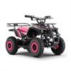 Miniquad elettrico 800 Watt Hiro Tiger 6