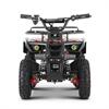 Miniquad elettrico 800 Watt Hiro Tiger 6
