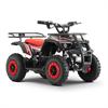 Miniquad elettrico 800 Watt Hiro Tiger 6