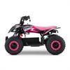Miniquad elettrico 800 Watt Hiro Cobra 6