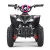 Miniquad elettrico 800 Watt Hiro Cobra 6