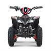 Miniquad elettrico 800 Watt Hiro Cobra 6