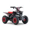 Miniquad elettrico 800 Watt Hiro Cobra 6