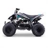 Quad 180 cc Odjar Predator [per adulti] in Minimoto e Miniquad