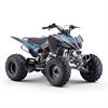 Quad 250 cc Odjar Predator [per adultii] in Minimoto e Miniquad