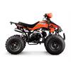 Quad 125 cc 3 marce + R 8