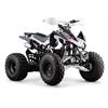 Quad 125 cc 3 marce + R 8