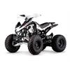 Quad 125 cc 3 marce + R 8