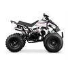 Quad 125 cc 3 marce + R 8