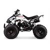 Quad 125 cc 3 marce + R 8