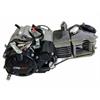 Motore GPX 155 2.0 Oil Filtrer in PitBike e MiniGP