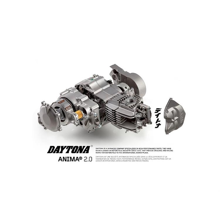 Motore Daytona 190 4 V FSM - Online - Evomotor