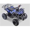 Miniquad 125 Hummer ruota 7