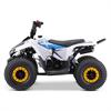 Miniquad Explorer 110 cc Blu [8-12 anni] in Minimoto e Miniquad