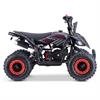 Miniquad Raptor 50 cc Rosso in Minimoto e Miniquad