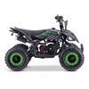 Miniquad Raptor 50 cc Verde in 