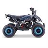 Miniquad Raptor 50 cc Blu in Minimoto e Miniquad