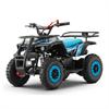 Miniquad 50 cc Hiro Tiger Blu [3-8 anni] in Minimoto e Miniquad