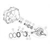 Spinotto e clip pistone DAYTONA  150/190 cc in PitBike e MiniGP