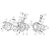 Testa motore DAYTONA 150-190-212 cc nuda in PitBike e MiniGP