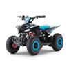 Miniquad elettrico 800 Watt Racer 6