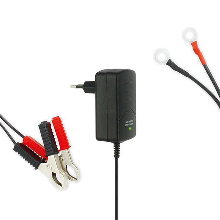 Carica batterie e mantenitore moto e scooter Batterie Acido