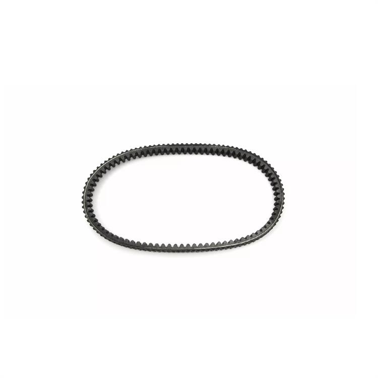 Cinghia Trasmissione Yamaha CZD 300 A X Max Iron Max (2019) JT