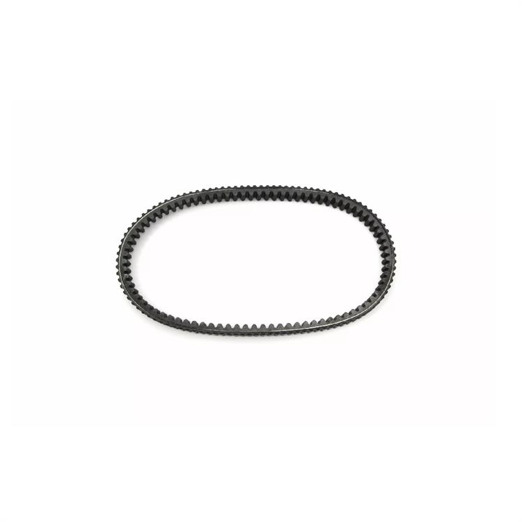 Cinghia Trasmissione Yamaha HW 125 CBS Xenter (2018-2019) JT