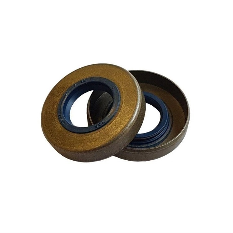 Coppia paraoli 17x35x8 Lato Volano Minarelli AM6