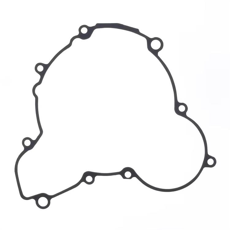 Guarnizione Husqvarna 300 TE (2017-2019) generatore