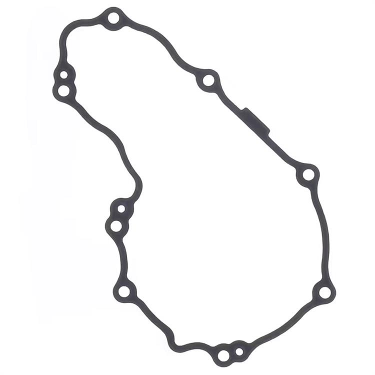 Guarnizione Husqvarna 350 FC (16-18) generatore