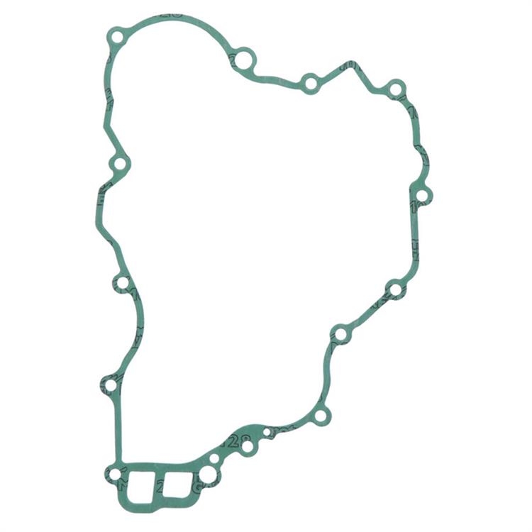 Guarnizione KTM 250 EXC-F (2005-2013) frizione interna