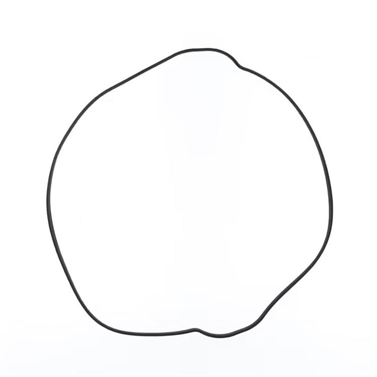 Guarnizione KTM 250 EXC-F (2017-2019) frizione esterna