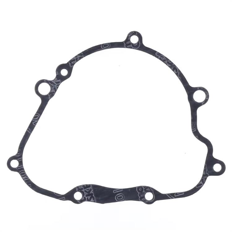 Guarnizione KTM 250 SX-F (11-12) generatore