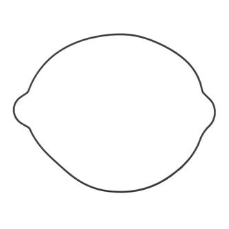 guarnizione ktm 300 exc 04 16 frizione esterna