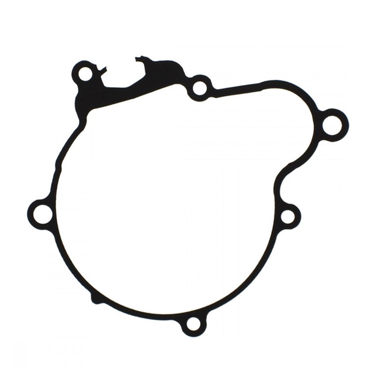 Guarnizione KTM 300 EXC (2008-2015) generatore