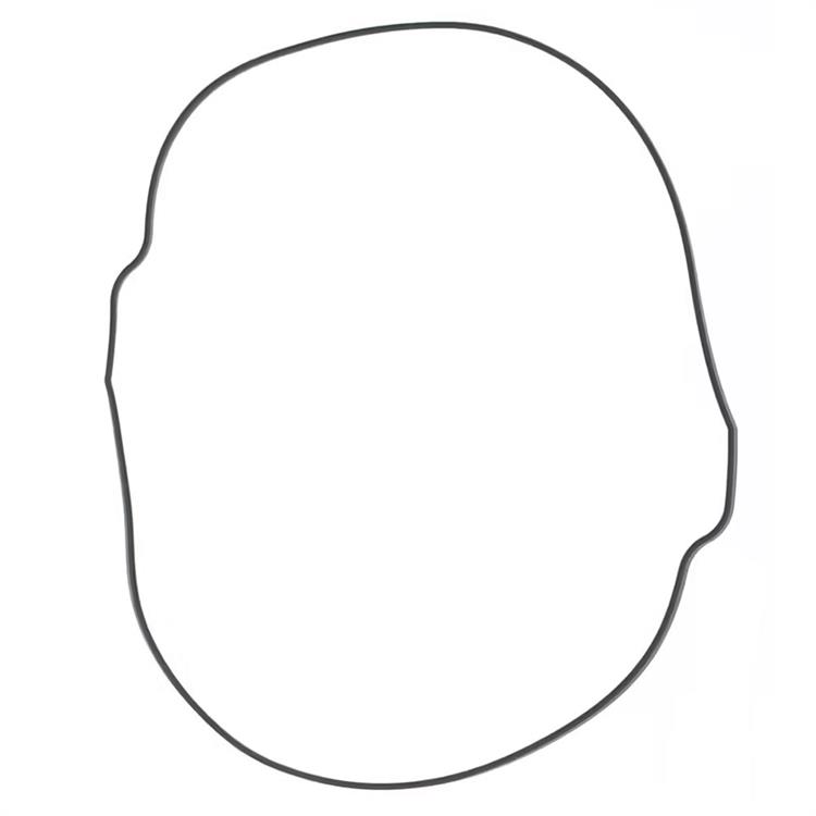 Guarnizione KTM 350 EXC-F (2012-2016) frizione esterna