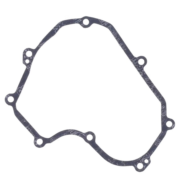Guarnizione KTM 450 EXC-F (2008-2011) generatore