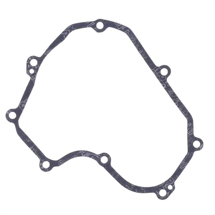 Guarnizione KTM 450 EXC-F (08-11) generatore