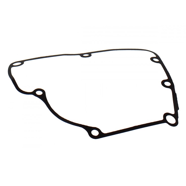 Guarnizione Suzuki RMZ 250 (2010-2024) generatore