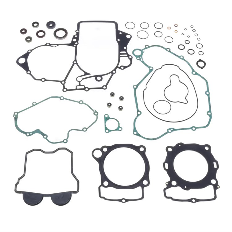 Guarnizioni Beta RR 350 (2015-2019) motore + kit paraolio